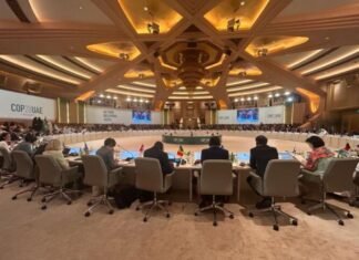 “PreCop28” hazırlıq görüşü öz işinə başlayıb BMT-nin İqlim Dəyişmələri üzrə Çərçivə Konvensiyasının 28-ci Tərəflər Konfransı