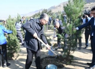 Mövsümlə əlaqədar paytaxtda növbəti ağacəkmə aksiyası keçirilib ağacəkmə aksiyası