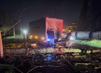 Lənkəranda güclü külək irigövdəli ağacı avtomobilin üzərinə aşırıb Lənkəranda güclü külək