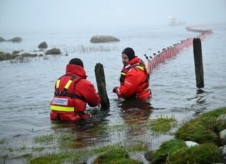 İsveç sahillərində gəmi saya oturub, neft dənizə dağılıb neft sızması