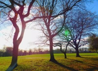 Noyabrın ilk gününün hava proqnozu açıqlanıb hava proqnozu