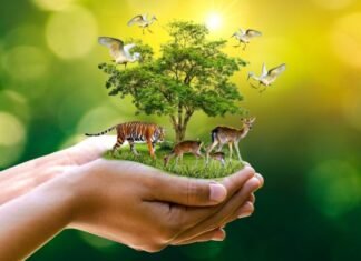 Bu gün Ümumdünya Yaşayış Yerlərinin Mühafizəsi Günüdür Ümumdünya Yaşayış Yerlərinin Mühafizəsi Günü