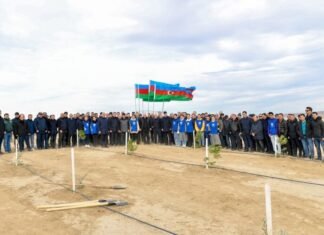 Heydər Əliyevin 100 illik yubileyinə həsr olunmuş ağacəkmə aksiyası keçirilib Heydər Əliyevin 100 illik yubileyinə həsr olunmuş ağacəkmə aksiyası