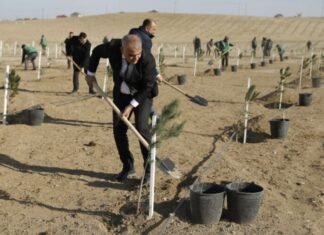 “Heydər Əliyev İli” çərçivəsində ağacəkmə kampaniyası təşkil olunub “Heydər Əliyev İli” çərçivəsində ağacəkmə kampaniyası