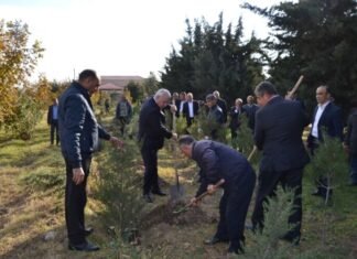 Füzulidə ağacəkmə aksiyasında 100 ədəd Eldar şamı və sərv ağacı əkilib Füzulidə ağacəkmə aksiyası