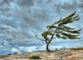 Növbəti iki gündə güclü külək əsəcək külək