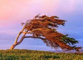 Güclü külək olacaq, dolu düşəcək külək