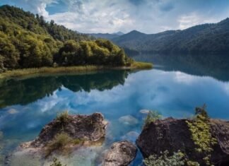 Yanvarın 11-də Dünya Qoruqlar və Milli Parklar Günü ilə əlaqədar milli parklarda “açıq qapı” günü olacaq Milli park