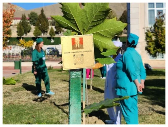 “Bir çinar, bir şəhid” ağacəkmə aksiyası