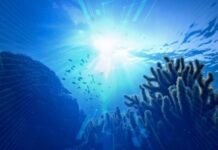 Dünya okeanında istiləşmə güman edildiyindən daha sürətlə gedir okean