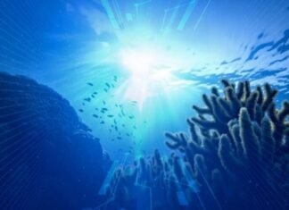 Dünya okeanında istiləşmə güman edildiyindən daha sürətlə gedir okean