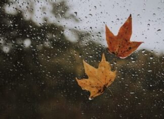 Azərbaycanda noyabrın 6-na gözlənilən hava proqnozu açıqlanıb hava proqnozu