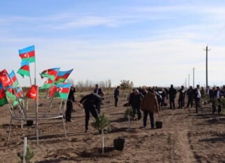 Ağacəkmə aksiyası və balıq buraxılışı tədbiri keçirilib Ağacəkmə aksiyası