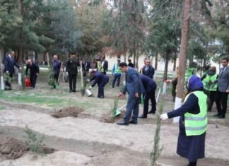 Şirvanda Zəfər Günü münasibətilə 500-dən çox ağac əkilib Şirvanda Zəfər Günü münasibətilə ağacəkmə aksiyası