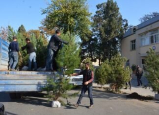 Tərtərdə Zəfər Günü münasibətilə ağacəkmə aksiyası keçirilib Tərtərdə Zəfər Günü münasibətilə ağacəkmə aksiyası