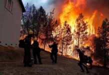 Qubadlıda yanğın baş verib, meşə zolağına keçməsinin qarşısı alınıb meşə yanğını