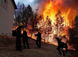 Tədqiqat: Meşə yanğınları torpaqdan xərçəngə səbəb ola bilən kimyəvi maddələri çıxara bilər meşə yanğını