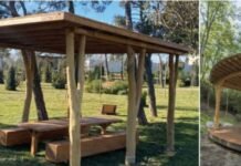 Dendrologiya bağında əsaslı təmir işləri aparılır Dendrologiya bağı