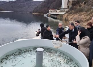 Göygöl Milli Parkının ərazisində su hövzəsinə 1 500-dən çox balıq körpəsi buraxılıb Göygöl Milli Parkının ərazisində su hövzəsinə 1 500-dən çox balıq körpəsi buraxılıb