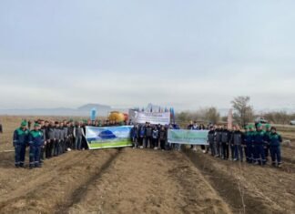 Naxçıvanda “Heydər Əliyev İli”nə töhfə olaraq növbəti ağacəkmə aksiyası keçirilib Naxçıvanda "Heydər Əliyev İli"nə töhfə olaraq növbəti ağacəkmə aksiyası