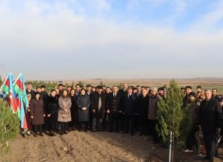 Samuxda “Heydər Əliyev ili” çərçivəsində ağacəkmə aksiyası keçirilib Samuxda “Heydər Əliyev ili” çərçivəsində ağacəkmə aksiyası