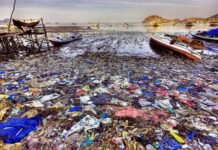 Fransa uzun illərdir Aralıq dənizini çirkləndirir Aralıq dənizi