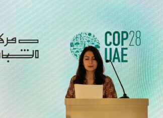 COP29-un Azərbaycanda keçirilməsi və “Yaşıl dünya naminə həmrəylik ili”nin elan edilməsi bu ilin ölkəmiz üçün çox əhəmiyyətli bir il olacağını göstərir “Gənclərin Töhfəsi” İctimai Birliyinin icraçı direktoru Məhsəti Hüseynova