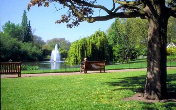 Park