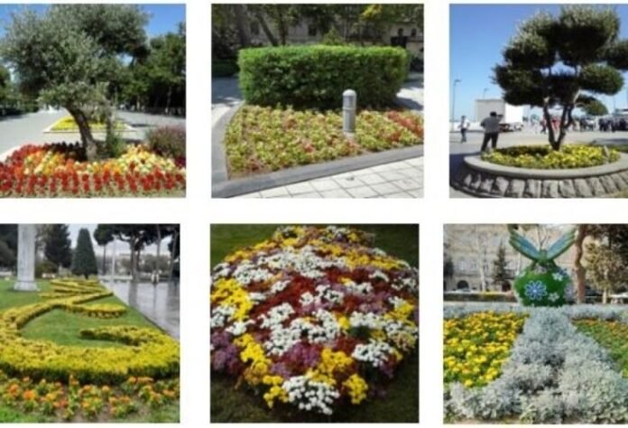 Abşeronun park-bağlarında kompozisiyaların tərtibatı ilə bağlı tədqiqat Abşeronun park-bağlarında kompozisiyaların tərtibatı ilə bağlı tədqiqat