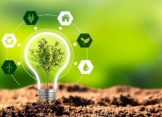 “Yaşıl əjdaha” ilindən yola saldığımız ilin “yaşıl enerji” siyasətinə ötəri baxış “yaşıl enerji”