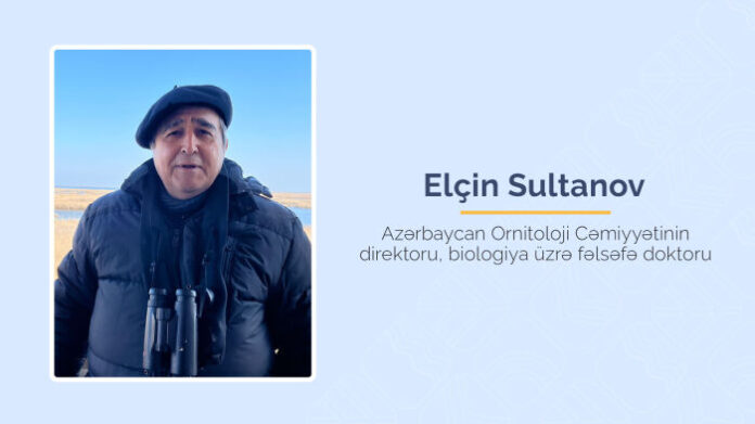 Azərbaycan Ornitoloji Cəmiyyətinin direktoru, biologiya üzrə fəlsəfə doktoru Elçin Sultanov
