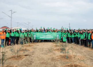 ADY “Yaşıl dünya naminə həmrəylik ili” çərçivəsində ağacəkmə aksiyası təşkil edib ADY “Yaşıl dünya naminə həmrəylik ili” çərçivəsində ağacəkmə aksiyası təşkil edib