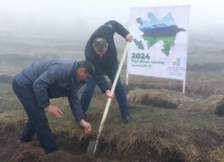 Azərbaycanın 12 rayonunda Torpaq çərşənbəsində 32 mindən çox ağac əkilib ağac əkimi