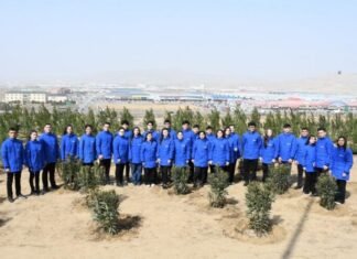 Bakı Şəhər İcra Hakimiyyəti ağacəkmə aksiyası keçirib Bakı Şəhər İcra Hakimiyyəti ağacəkmə aksiyası keçirib