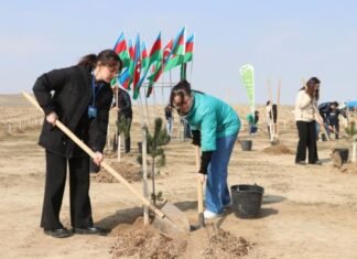 DOST İnklüziv İnkişaf və Yaradıcılıq Mərkəzi ağacəkmə aksiyasına qoşulub DOST İnklüziv İnkişaf və Yaradıcılıq Mərkəzi ağacəkmə aksiyası