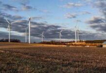 Təmiz enerji texnologiyaları dünyada karbon qazı tullantılarının artım sürətini azaldıb külək enerjisi