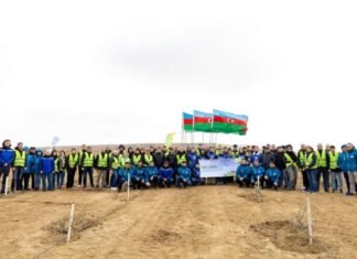 “Yaşıl dünya naminə həmrəylik ili” çərçivəsində ağacəkmə aksiyası keçirilib ağacəkmə aksiyası