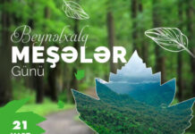 Bu gün Beynəlxalq Meşələr Günüdür Beynəlxalq Meşələr Günü