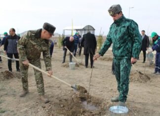 Naxçıvanda ilin ilk ağacəkmə aksiyası keçirilib Naxçıvanda ilin ilk ağacəkmə aksiyası
