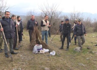 Oğuz sakinlərindən nəcib təşəbbüs – yanmış meşə sahələri bərpa edilir yanmış meşə sahələri bərpa edilir