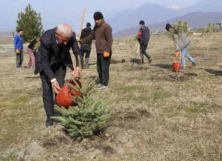 Qəbələdə keçirilən ağacəkmə aksiyasında 4 mindən çox ting əkilib Qəbələdə keçirilən ağacəkmə aksiyası