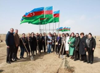 “Yaşıl dünya naminə həmrəylik ili”ndə ağacəkmə aksiyaları davam edir ağacəkmə aksiyaları