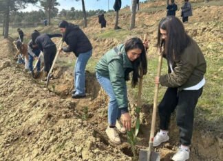 Meşələrin İnkişafı Xidmətində təcrübə keçən tələbələr Şabran rayonunun meşə fondu torpağında keçirilən ağacəkmədə iştirak edib Şabran rayonunun meşə fondu torpağında keçirilən ağacəkmə