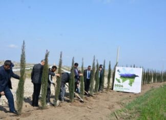 Tərtərdə ağacəkmə aksiyasında 2000 ting əkilib Tərtərdə ağacəkmə aksiyası