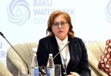 COP29-da Xəzər dənizi ilə bağlı təşəbbüs də yer alacaq ekologiya və təbii sərvətlər nazirinin müavini Umayra Tağıyeva