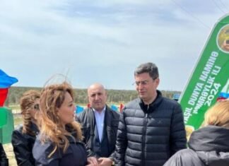 Xəzər rayonunda “Yaşıl dünya naminə həmrəylik ili” çərçivəsində ağacəkmə aksiyası keçirilib Xəzər rayonunda "Yaşıl dünya naminə həmrəylik ili" çərçivəsində ağacəkmə aksiyası