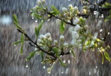 Sabah bəzi ərazilərdə yağış yağacaq yağış