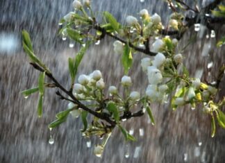 Sabah bəzi ərazilərdə yağış yağacaq yağış