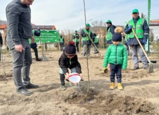 Qaçqınkom tərəfindən Zabuxda ağacəkmə aksiyası keçirilib Zabuxda ağacəkmə aksiyası