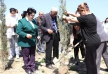 Dendrologiya İnstitutu “Yaşıl dünya naminə həmrəylik ili” çərçivəsində ağacəkmə aksiyası keçirib Dendrologiya İnstitutu “Yaşıl dünya naminə həmrəylik ili” çərçivəsində ağacəkmə aksiyası keçirib